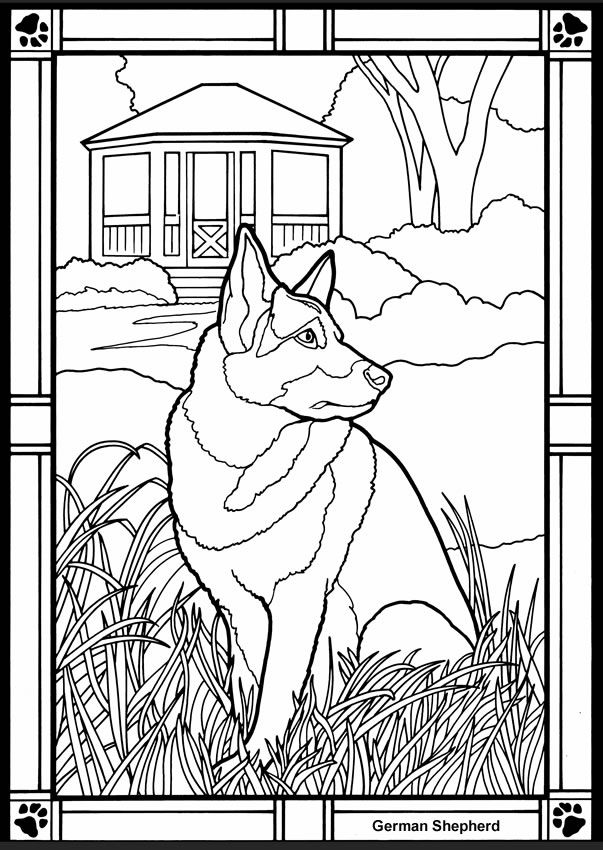 Wele to dover publications dog coloring page animal coloring pages coloring pages