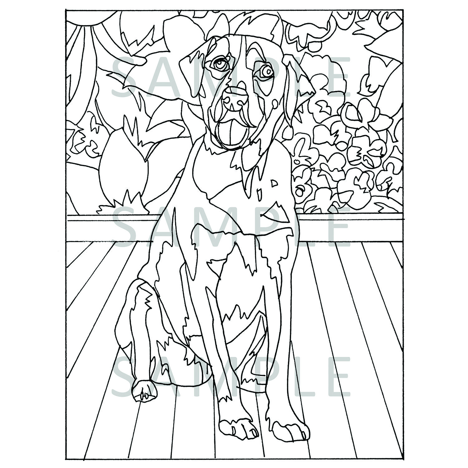Labrador â benevolent hound