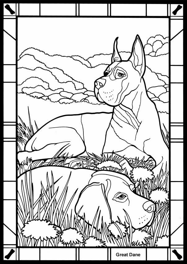Pin on stained glass coloring