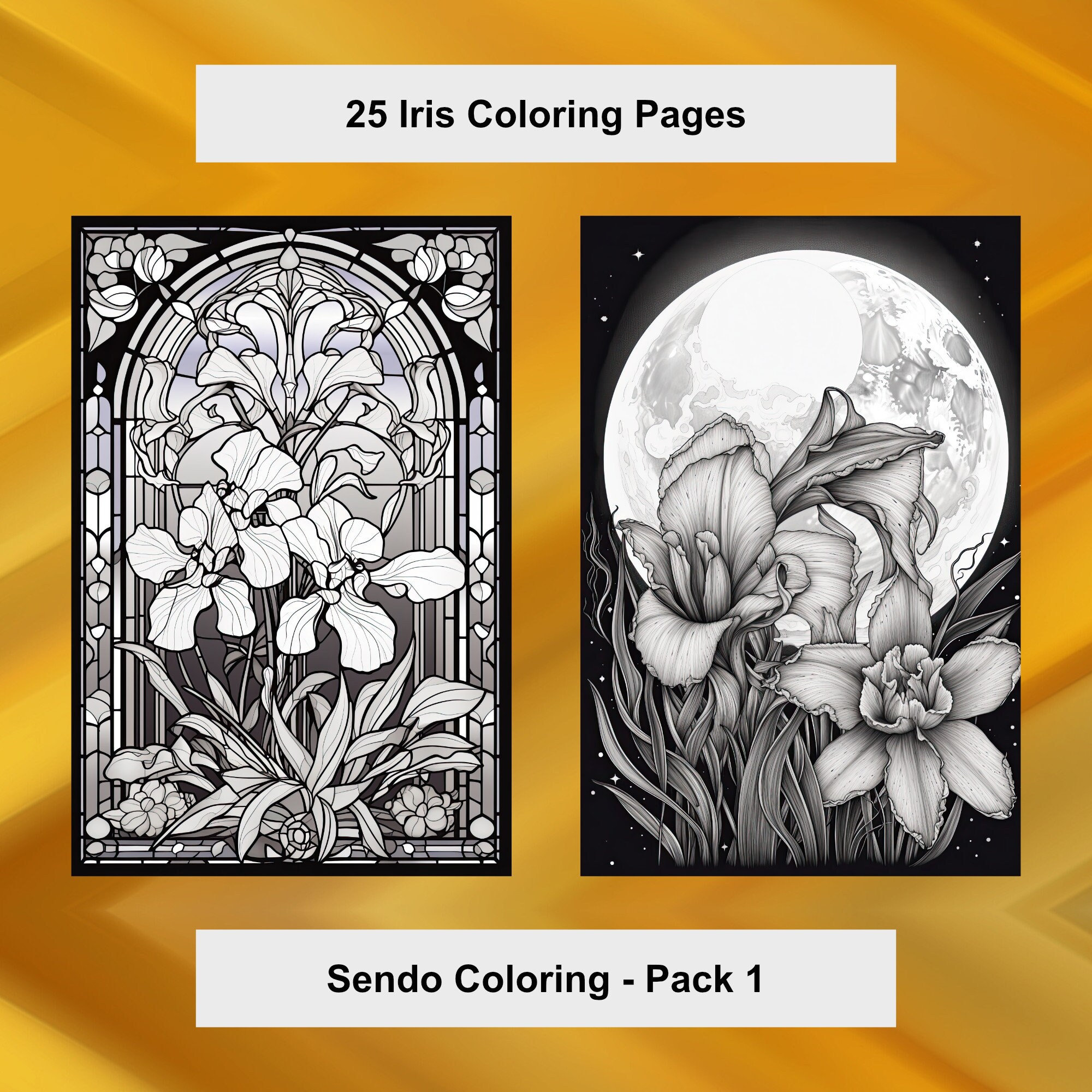 Iris flower coloring pages iris coloring printable pdf