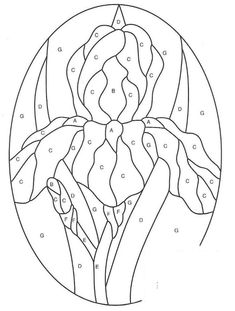 Iris stained glass ideas in stained glass stained glass flowers stained glass patterns