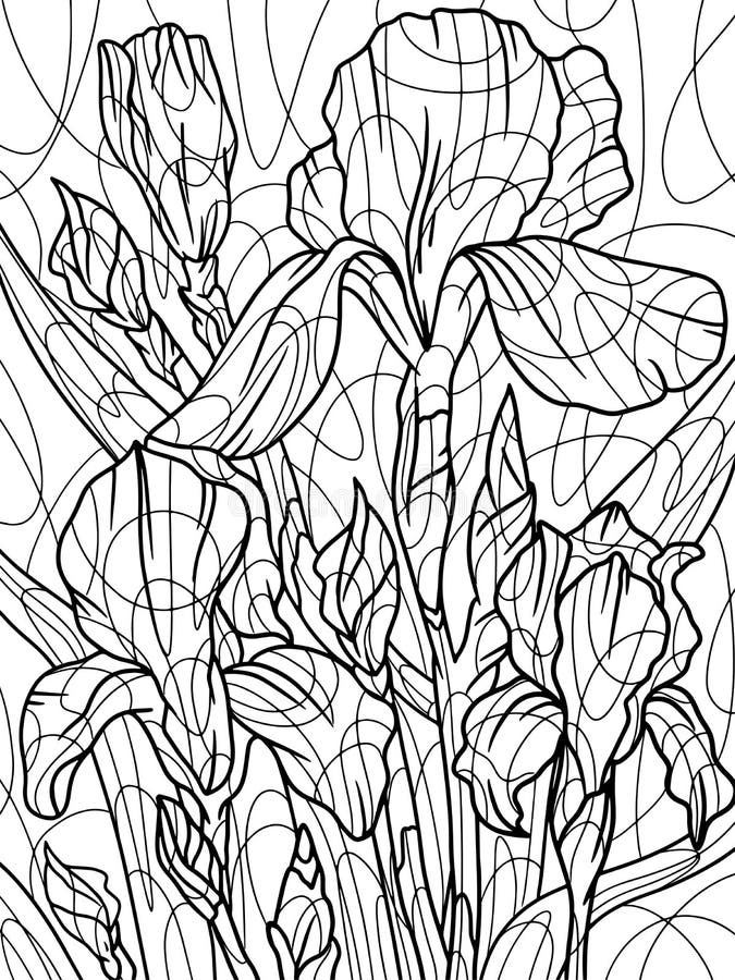 Coloring book iris stock illustrations â coloring book iris stock illustrations vectors clipart
