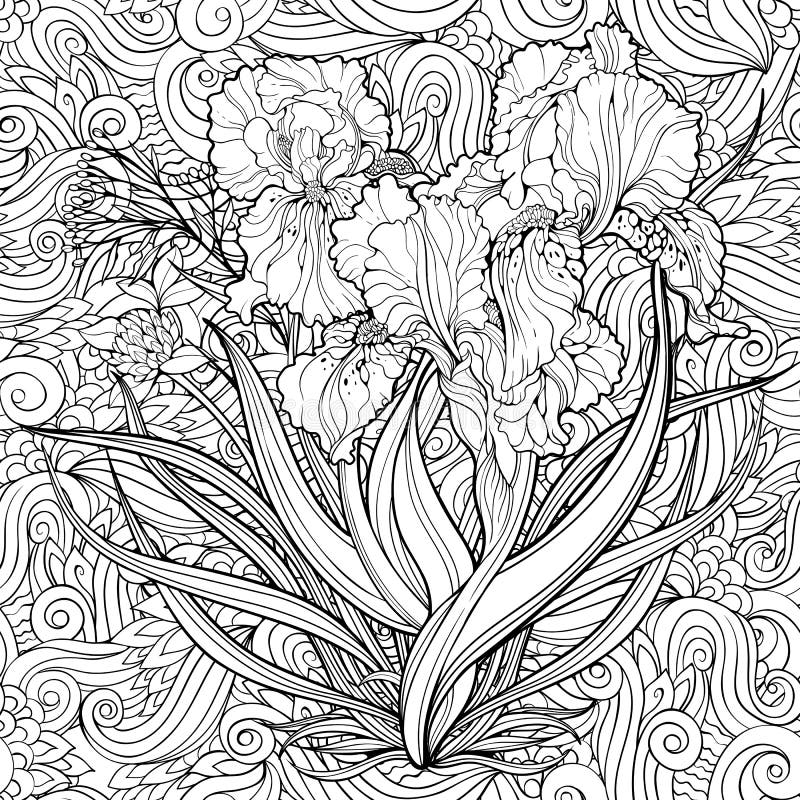 Coloring book iris stock illustrations â coloring book iris stock illustrations vectors clipart