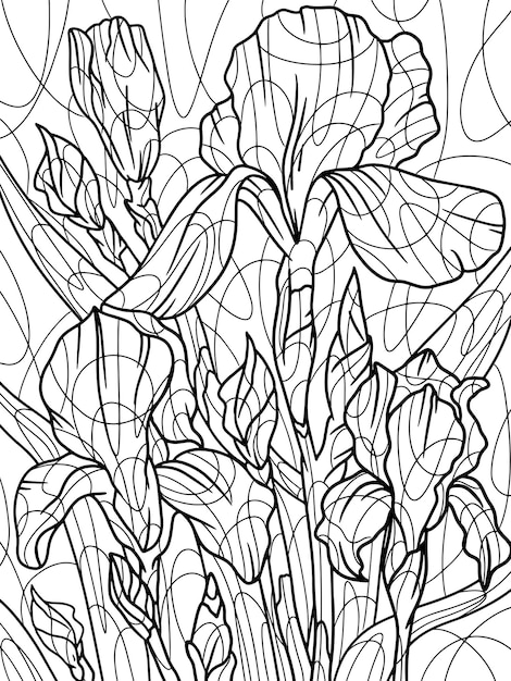 Premium vector iris flower plant full page home plant with large leaves zentangle style hand draw