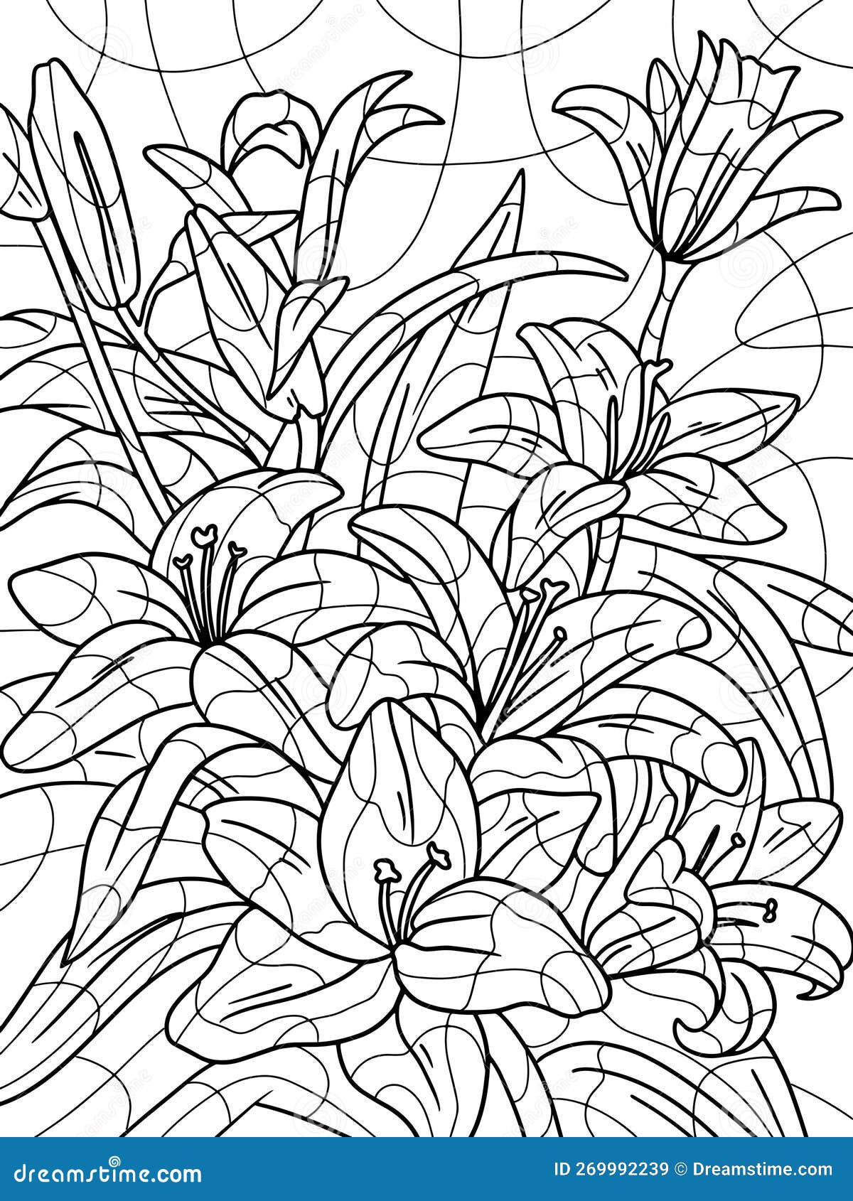 Lily flowers coloring page and book antistress for children and adults illustration on white background stock vector