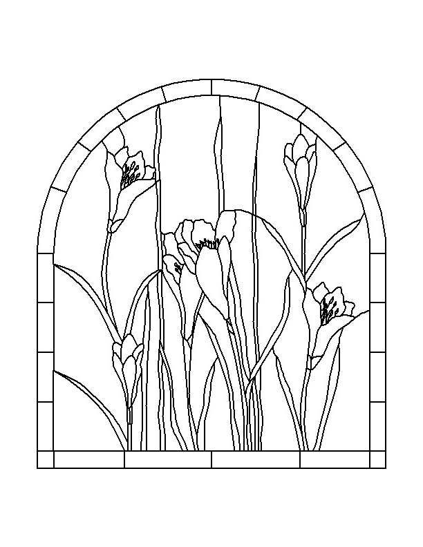 Lily coloring pages