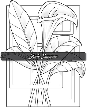 Minimalist art adult coloring book for women and teens with easy boho designs for stress relief and relaxation summer jade talavera mireya janney candice books