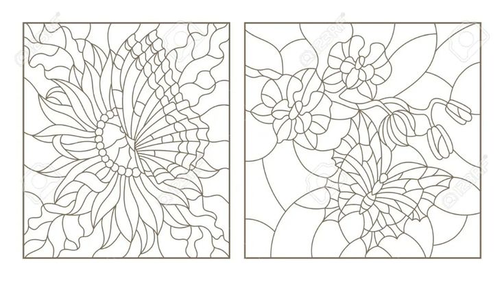 Set contour illustrations of the stained glass with butterflies and flowers orchid and aster butterflyâ in cat coloring page stained glass butterfly stained glass