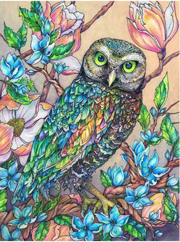Stained glass owl diamond painting kit â nail hoot