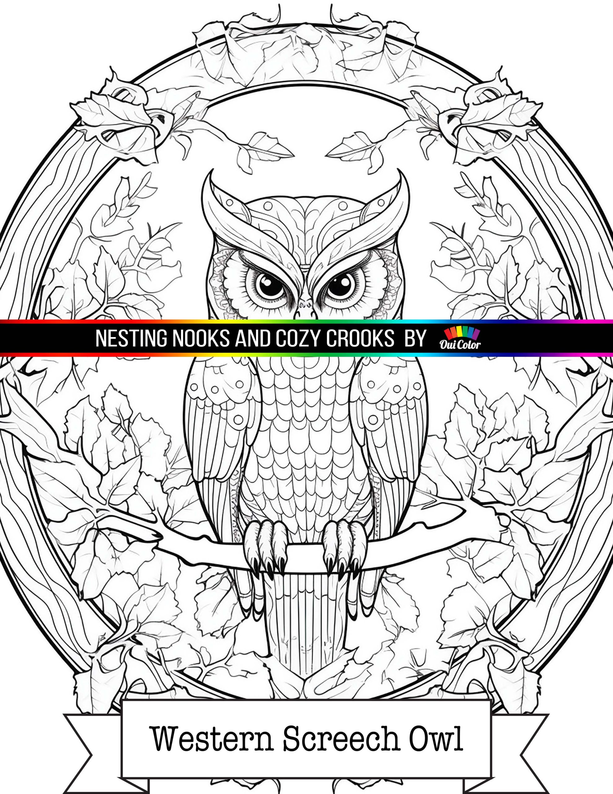 Nesting nooks and cozy crooks unveiling the whimsical hideaways of baby owls nature series