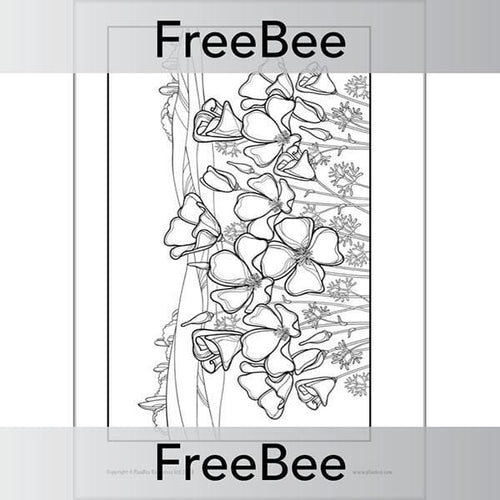 Free poppies colouring pages by