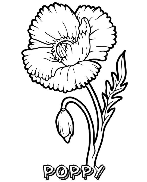 Printable poppy coloring pages pdf