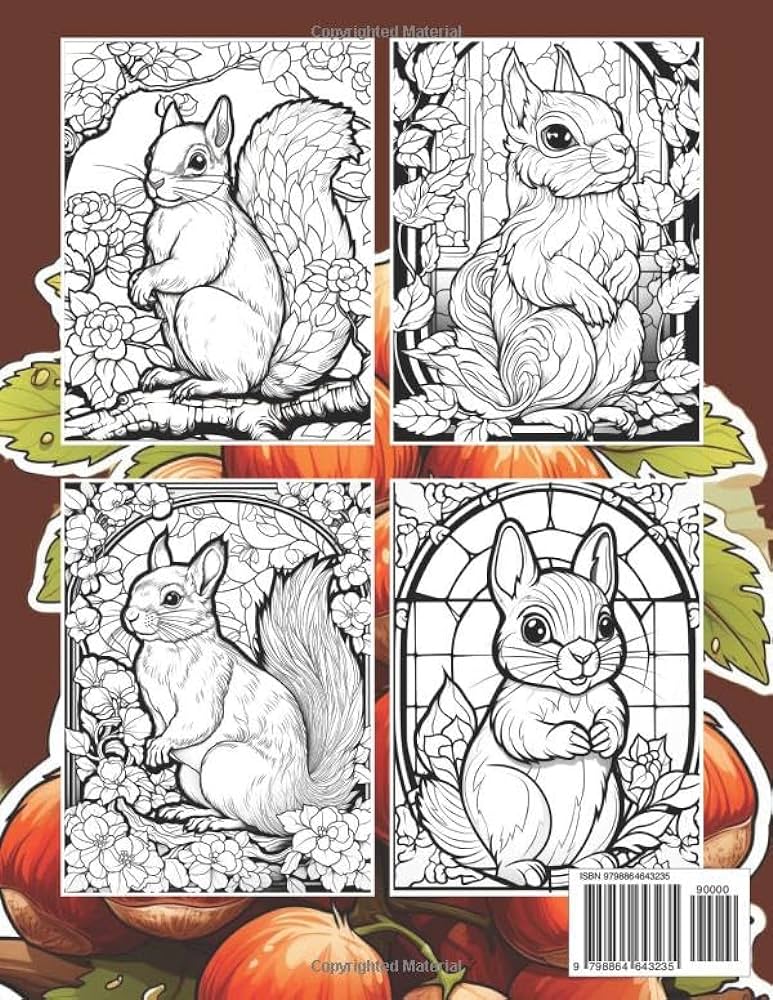 Stained glass squirrels coloring book coloring pages for adults for relaxation and stress relief wacko suzy letinson books