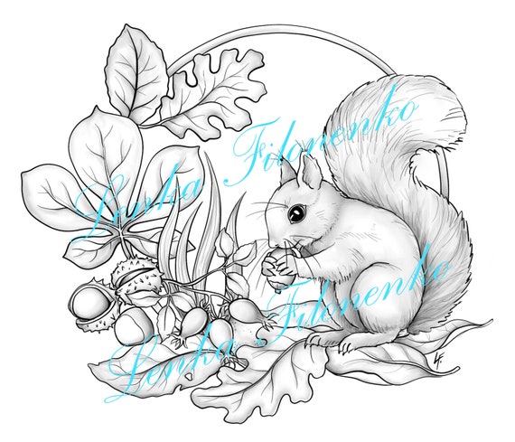 Coloring page grey scale cute squirrel autumn fall pdf download and print
