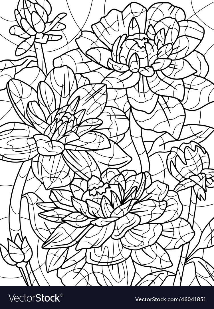 Star lotus flower coloring page with pencil line vector image