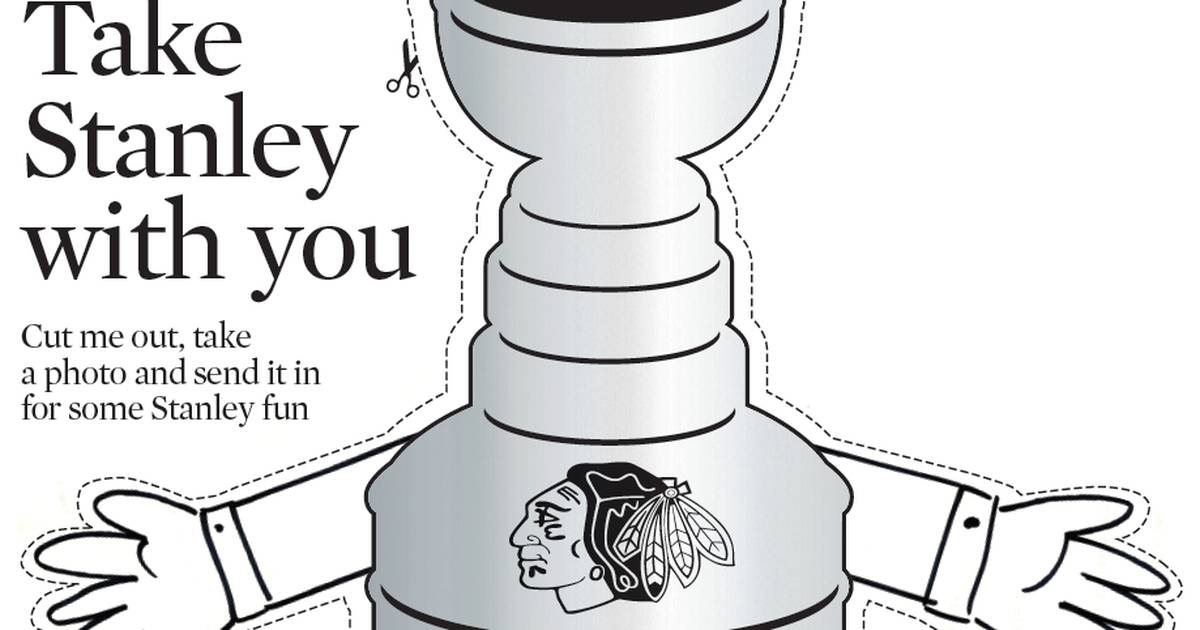 Take flat stanley cup with you submit your photos