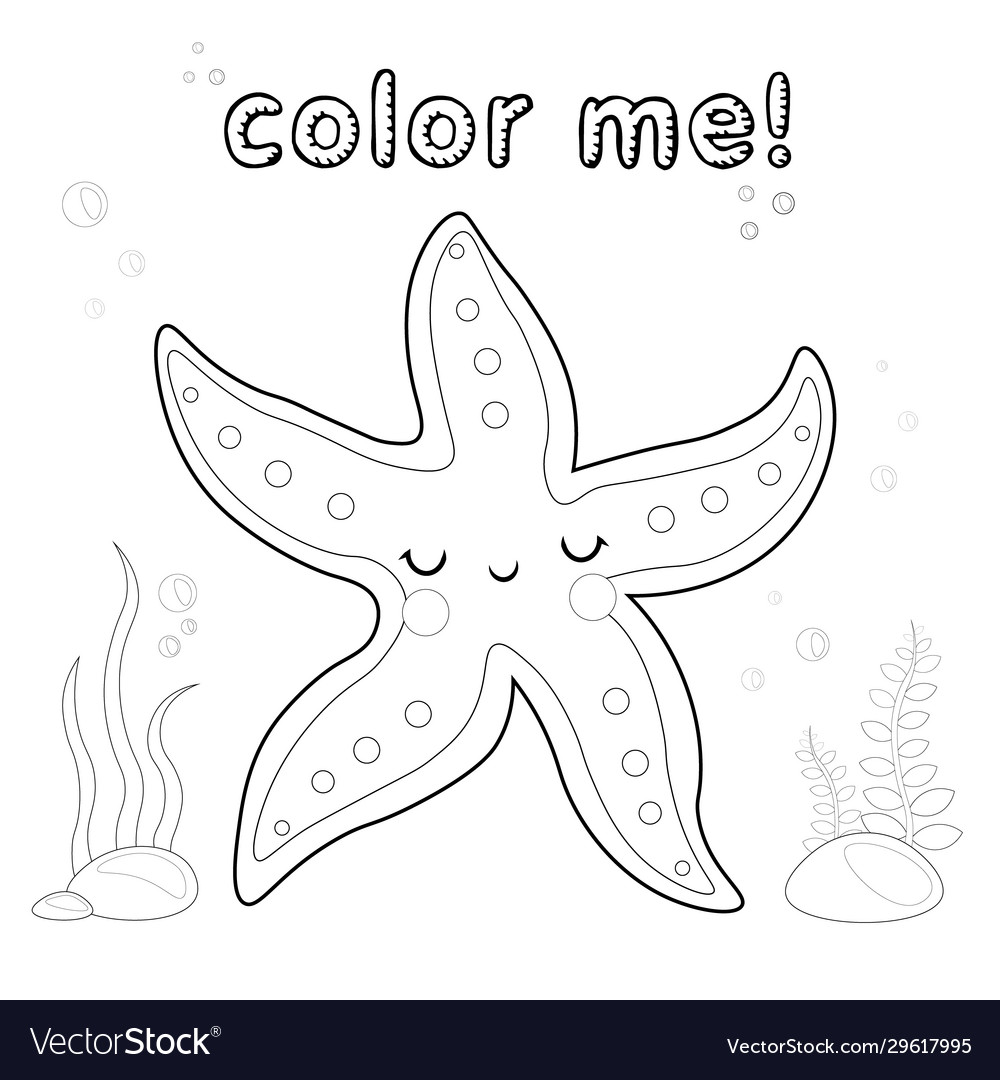 Outline starfish coloring page black and white vector image