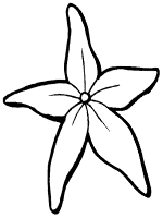 Star light star bright coloring pages and printable activities