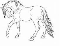 Horses ideas horses pretty horses horse pictures