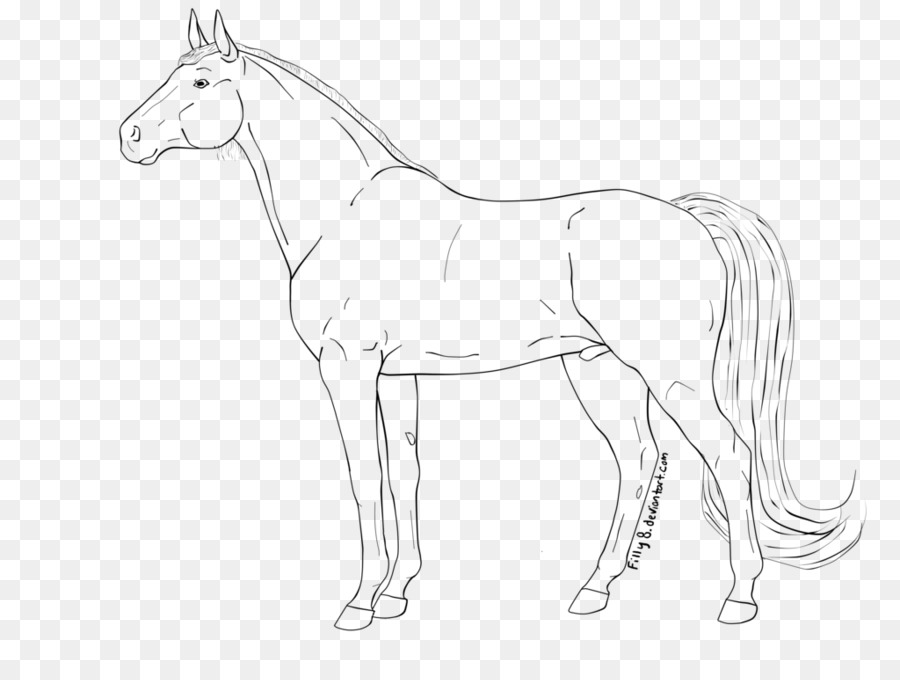 Star drawing png download
