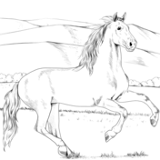 Horses coloring pages free coloring pages
