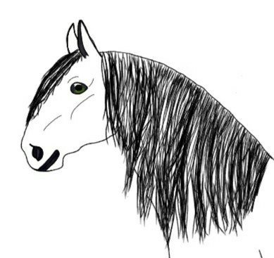 Lusitano outlineââ star stable art amino
