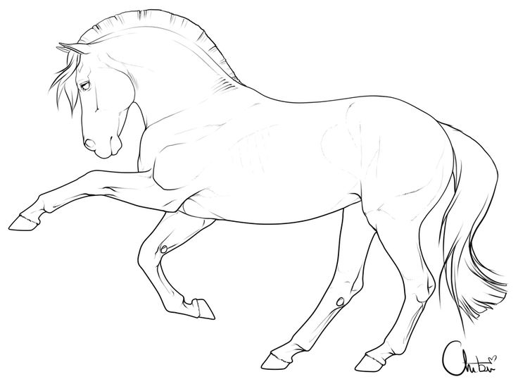 Free pony lineart by bh