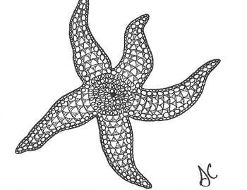 Starfish coloring page by stephanie chambers tpt