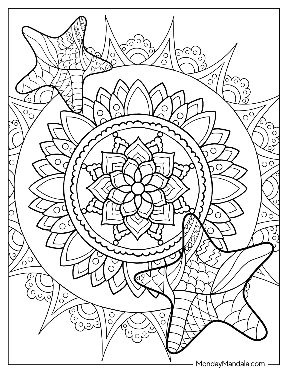 Starfish coloring pages free pdf printables
