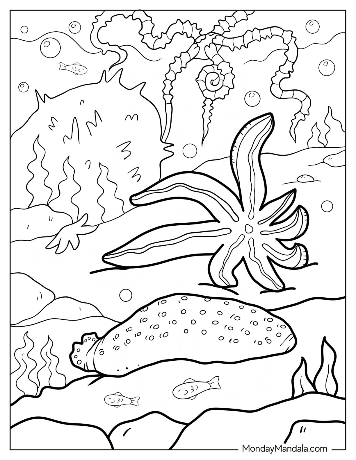 Starfish coloring pages free pdf printables