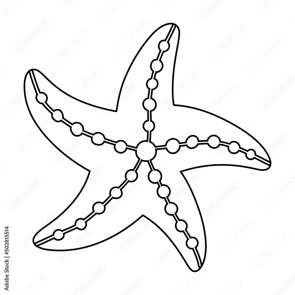 Starfish coloring pages for kids vector outline on white background vector