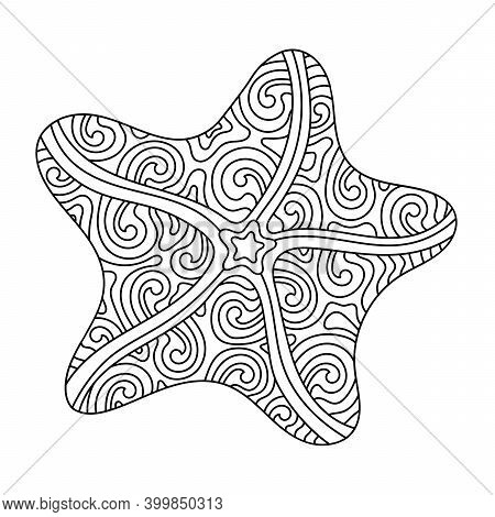 Starfish coloring vector photo free trial bigstock