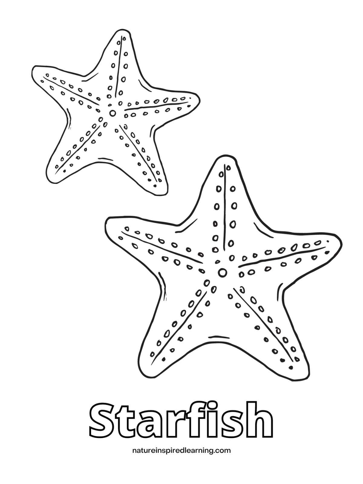 Starfish coloring pages
