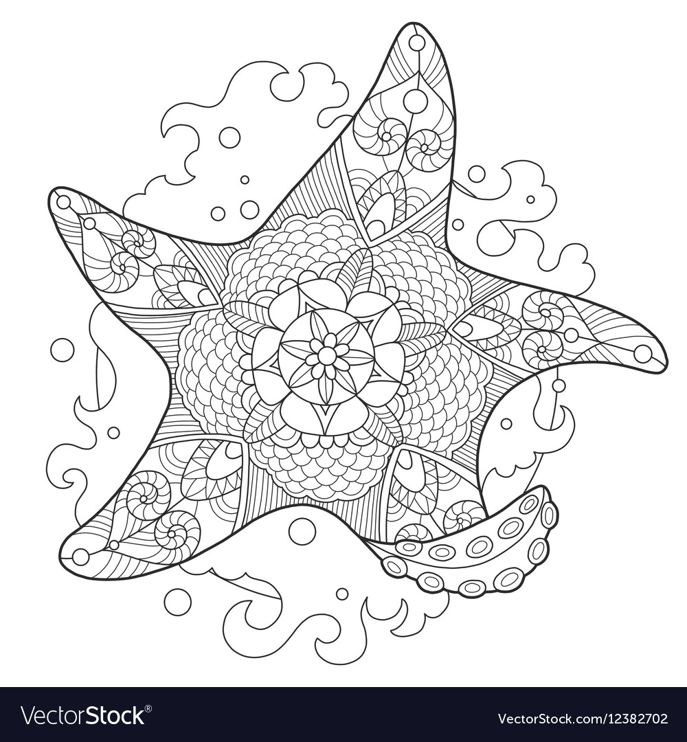 Starfish coloring book for adults royalty free vector image