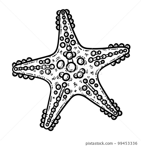 Summer starfish line art coloring page for adult