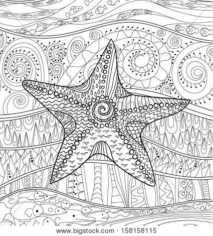 Starfish high details vector photo free trial bigstock
