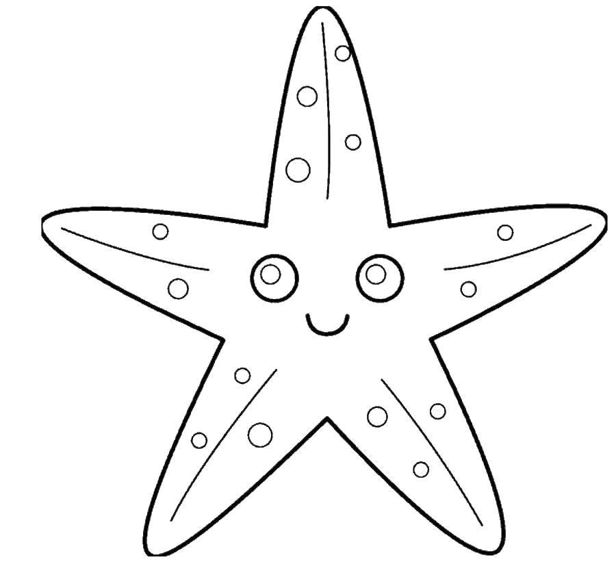 Online coloring pages coloring page starfish sea download print coloring page