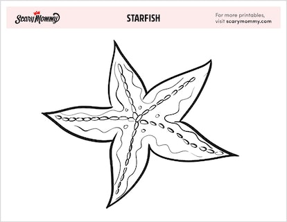 Starfish coloring pages thatll make you want to explore the ocean