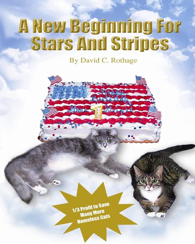 A new beginning for stars and stripes rothage david c books