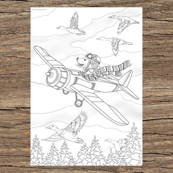 Pilot printable adult coloring page from favoreads coloring