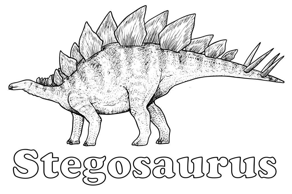 Stegosaurus dinosaur coloring poster for kids family activity science color your own cool wall decor art print poster x home