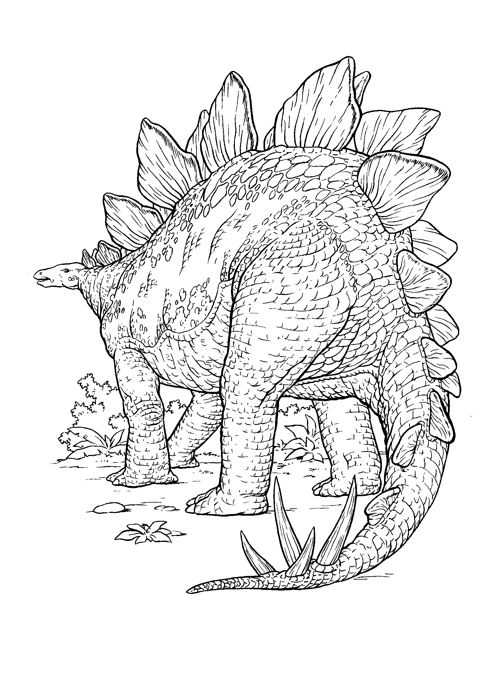 Coloring page