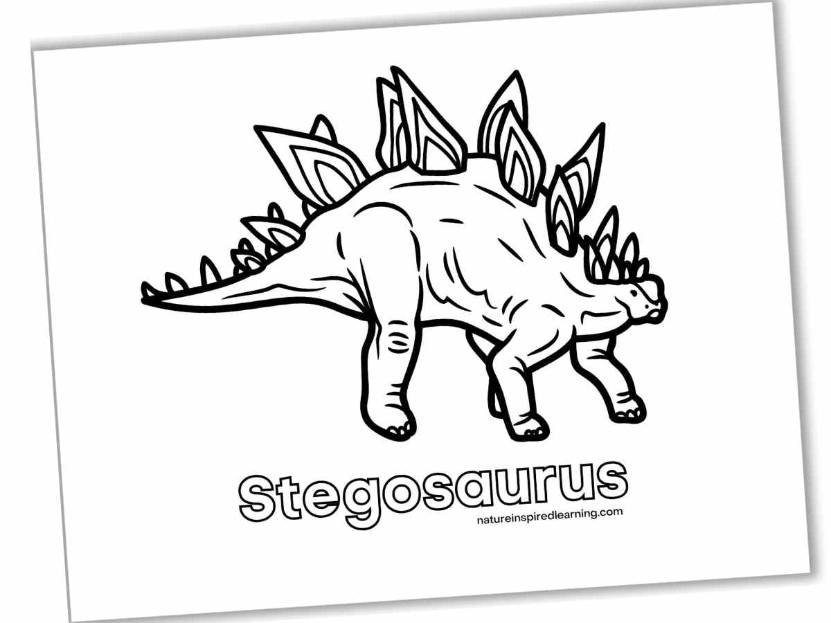 Stegosaurus coloring pages