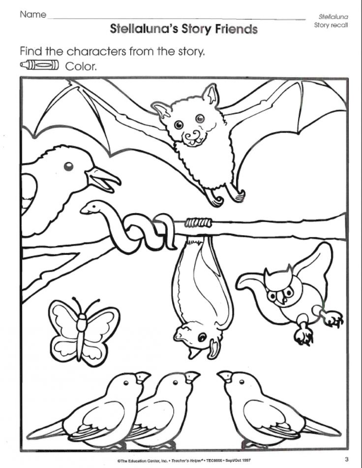 Stellaluna worksheets bats