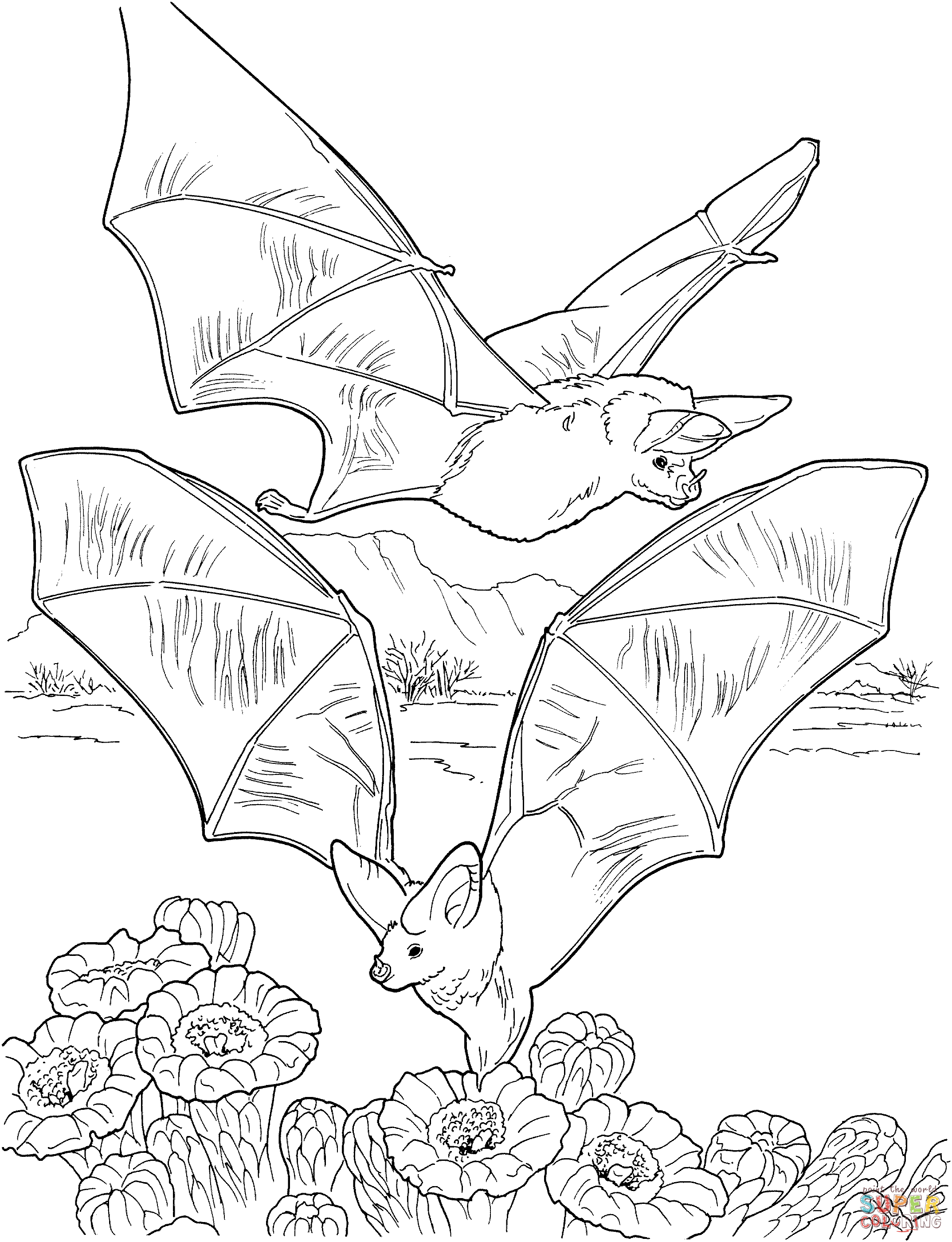 Free printable bat coloring pages for kids