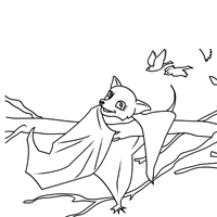Hanging stellaluna coloring pages
