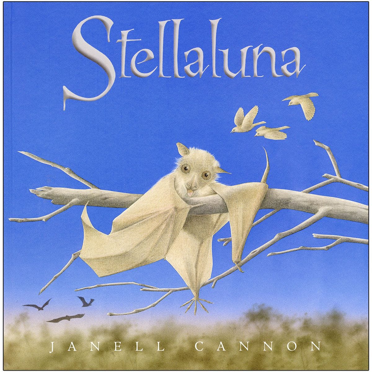 Stellaluna book