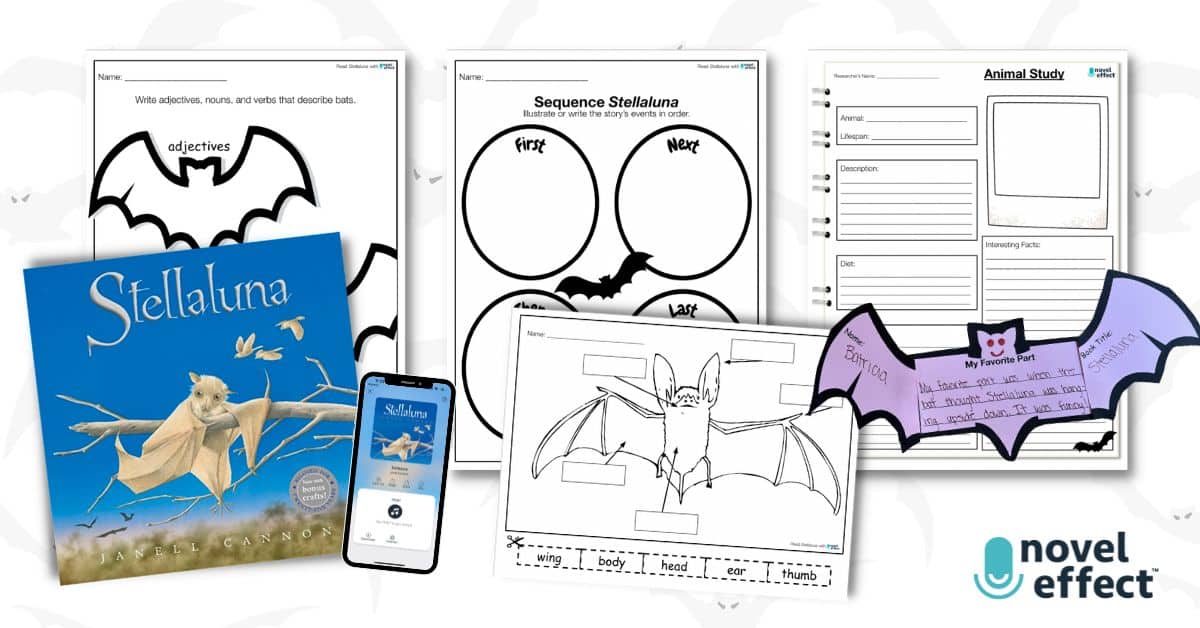Stellaluna activities for prek