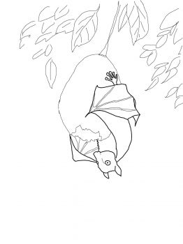 Stellaluna hanging on fruit coloring page super coloring animal coloring pages coloring pages fruit coloring pages