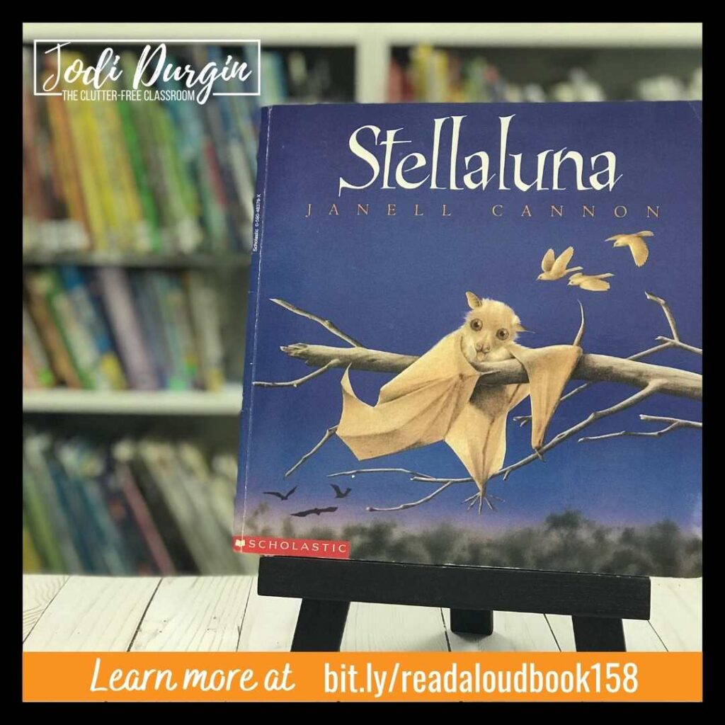 Stellaluna activities and lesson plans for